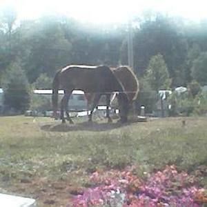 Meet your Posher, Micheal